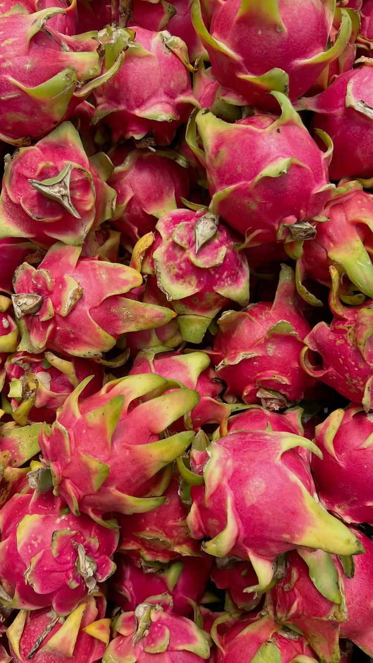 Buah naga segar